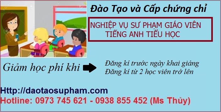 Nghiệp vụ sư phạm giáo viên tiếng Anh tiểu học