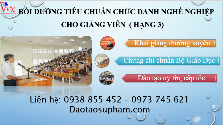 Bồi dưỡng theo tiêu chuẩn chức danh nghề nghiệp giảng viên ( hạng 3)