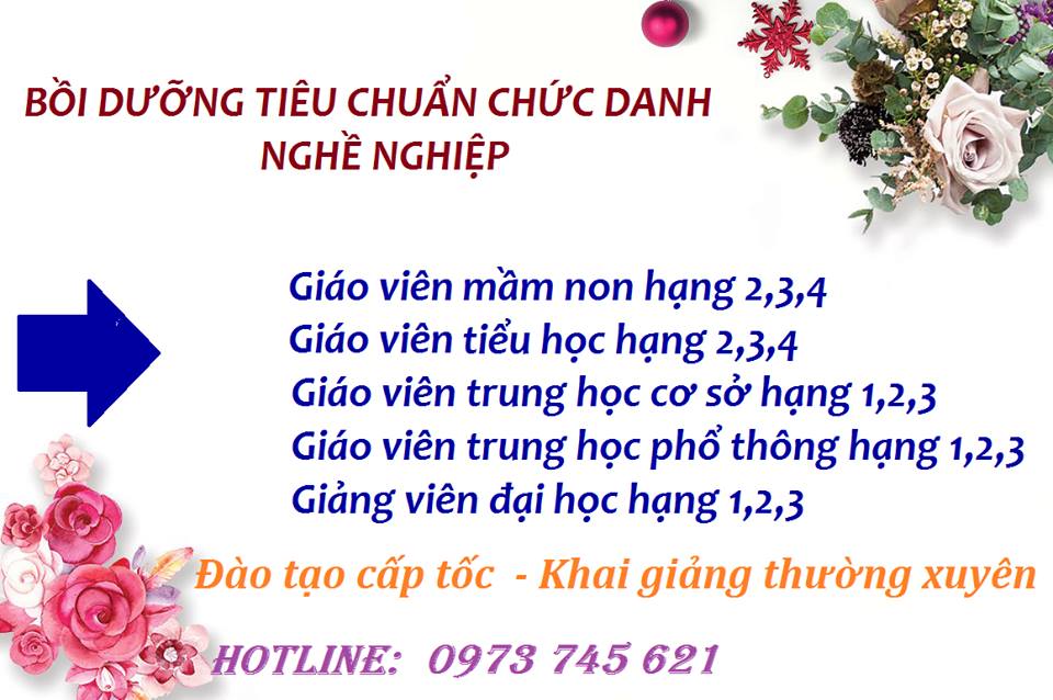 Bồi Dưỡng Theo Tiêu Chuẩn Chức Danh Nghề Nghiệp Giáo Viên, Giảng Viên